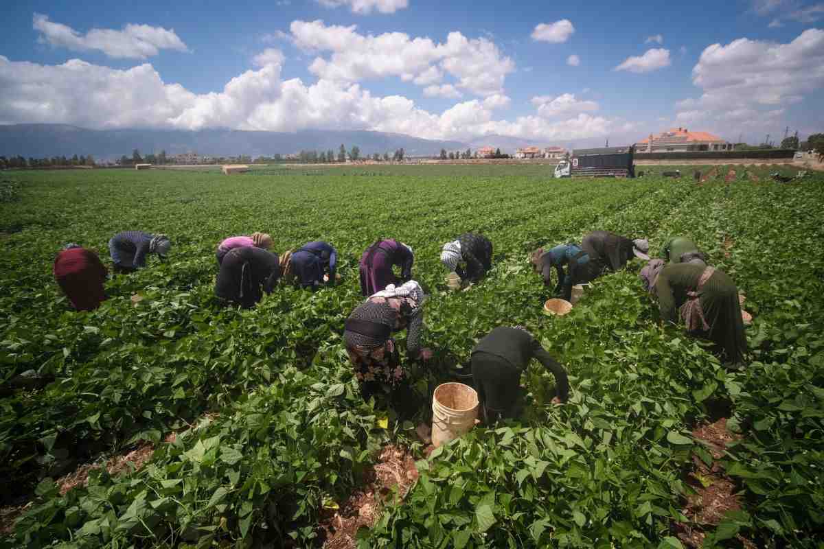 Lebanon called for expanded financial support mechanisms for agricultural producers, particularly small-scale farmers.