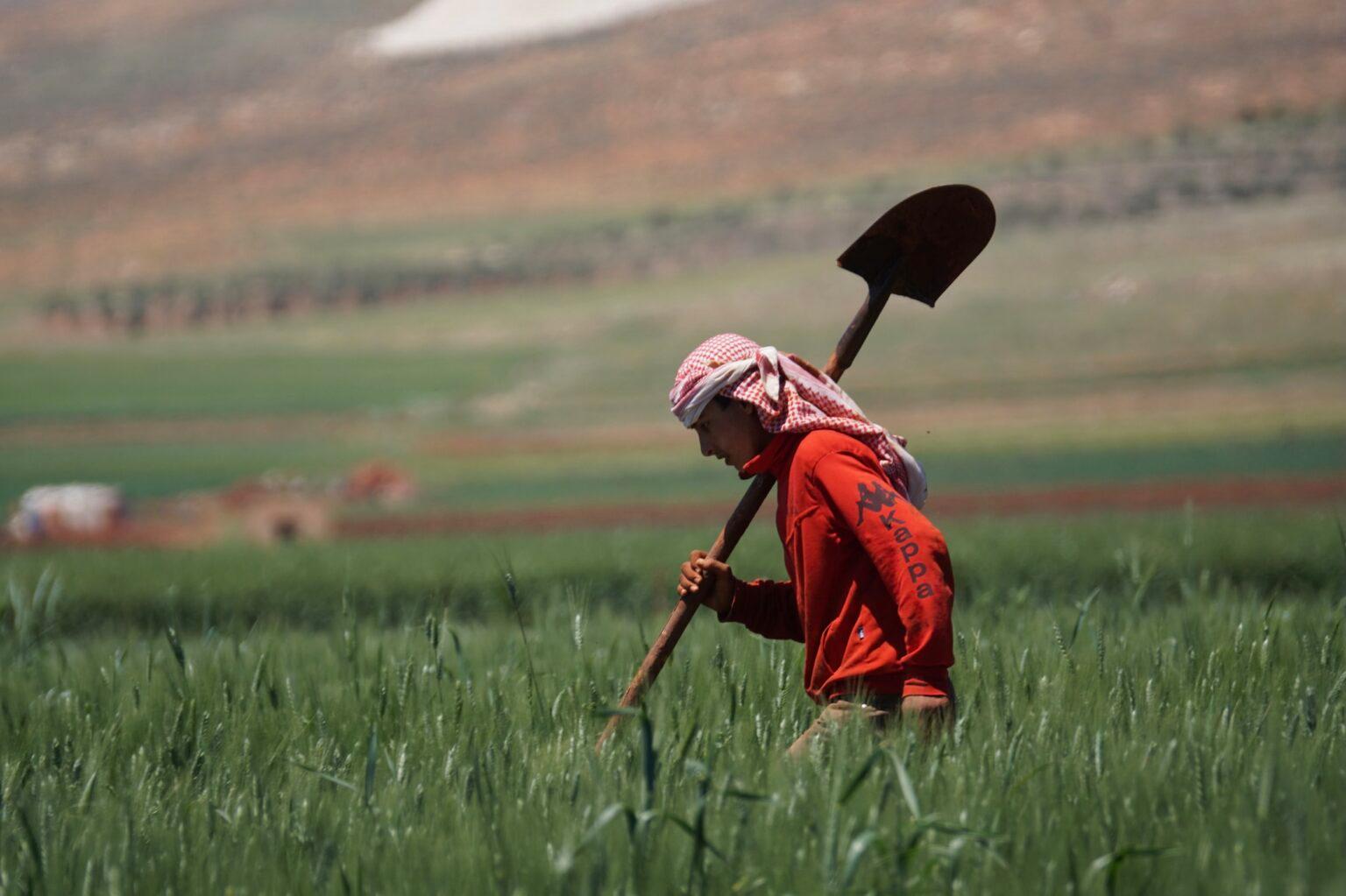 According to the WFP, approximately 46,500 hectares of agricultural land have been affected by the conflict. ©Charles Fred According to the WFP, approximately 46,500 hectares of agricultural land have been affected by the conflict. ©Charles Fred