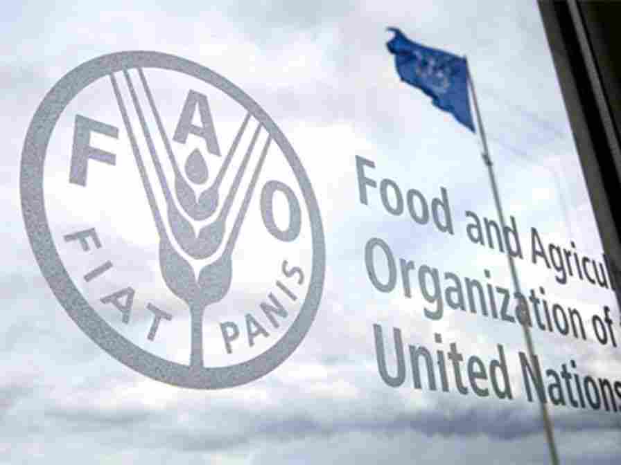 The Food and Agriculture Organization of the United Nations (FAO)