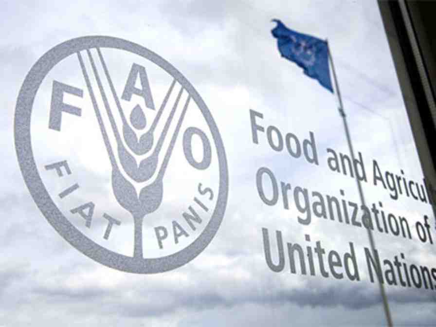 The Food and Agriculture Organization of the United Nations (FAO)