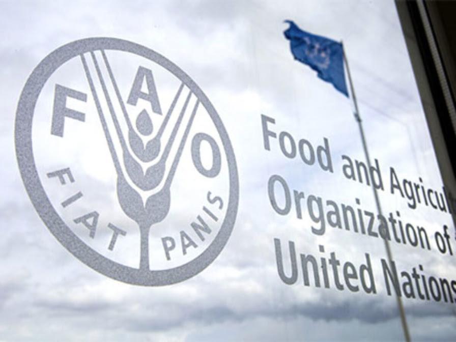 The Food and Agriculture Organization of the United Nations (FAO) The Food and Agriculture Organization of the United Nations (FAO)