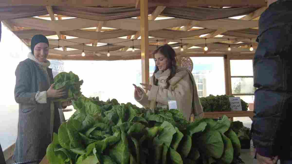 Two women shop for fresh lettuce in a cozy sunlit market