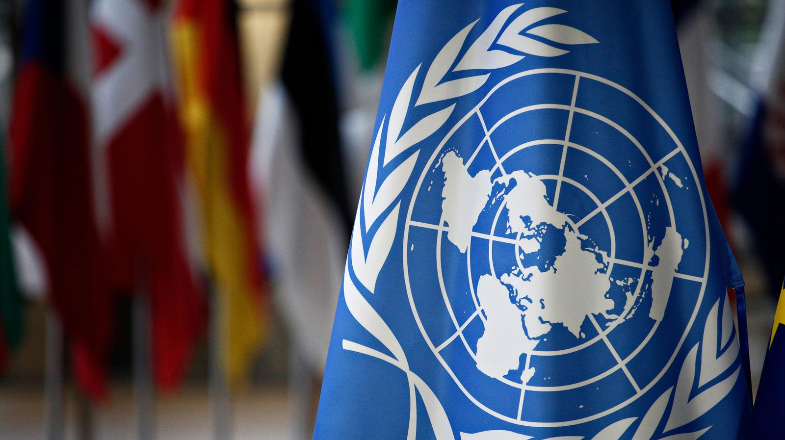 The United Nations Flag The United Nations Flag