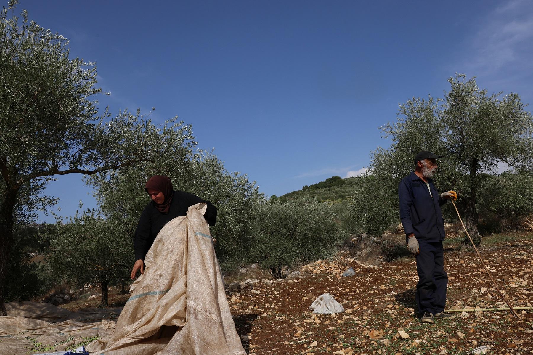 Farmers in South Lebanon. (Image Credit: AFP) Farmers in South Lebanon. (Image Credit: AFP)