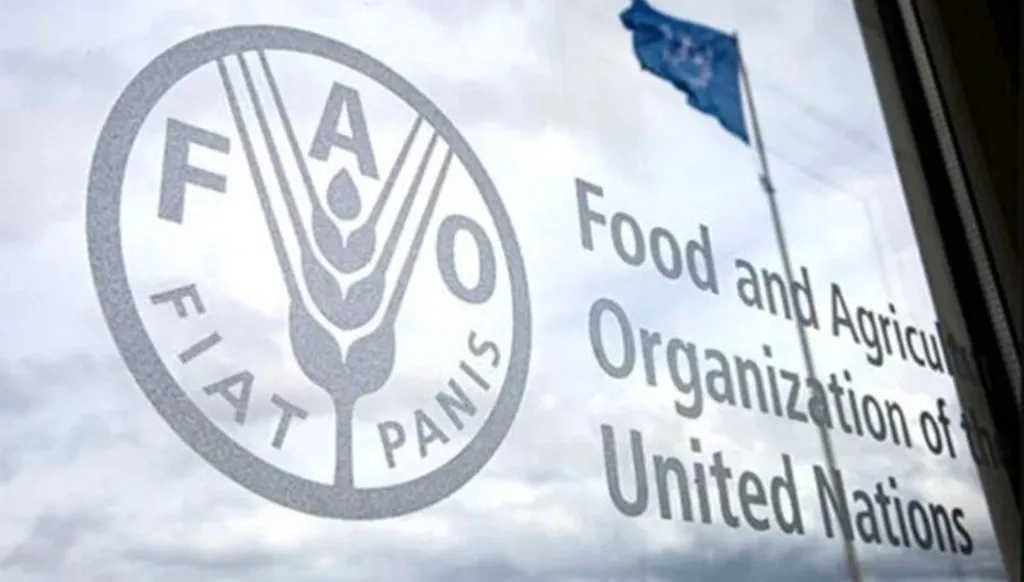 Food and Agriculture Organization of the United Nations (FAO)