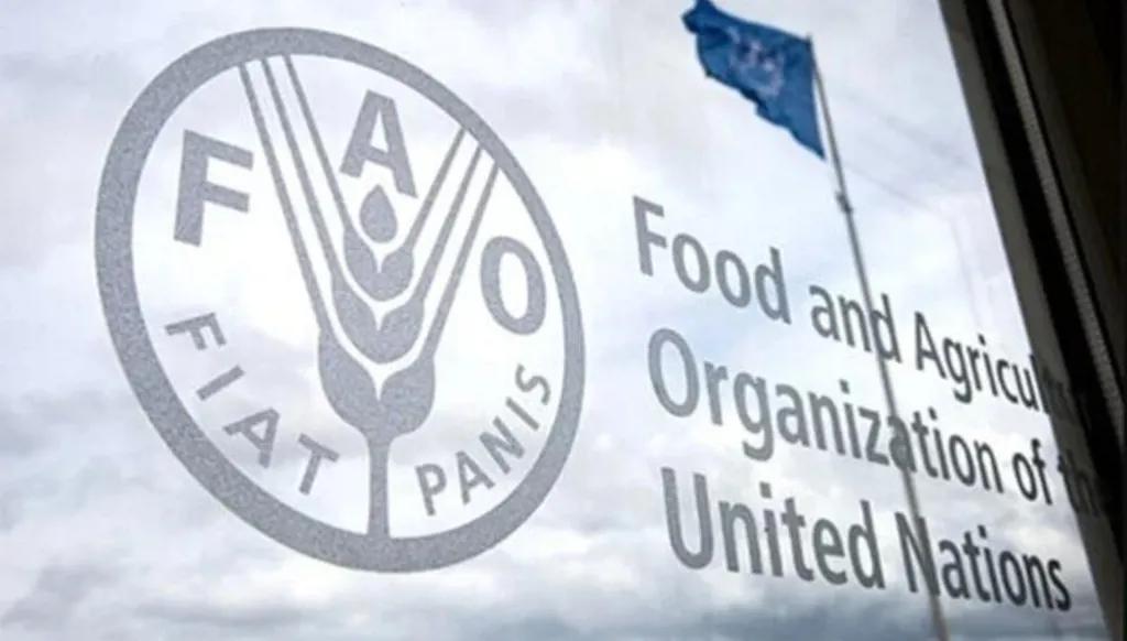Food and Agriculture Organization of the United Nations (FAO) Food and Agriculture Organization of the United Nations (FAO)