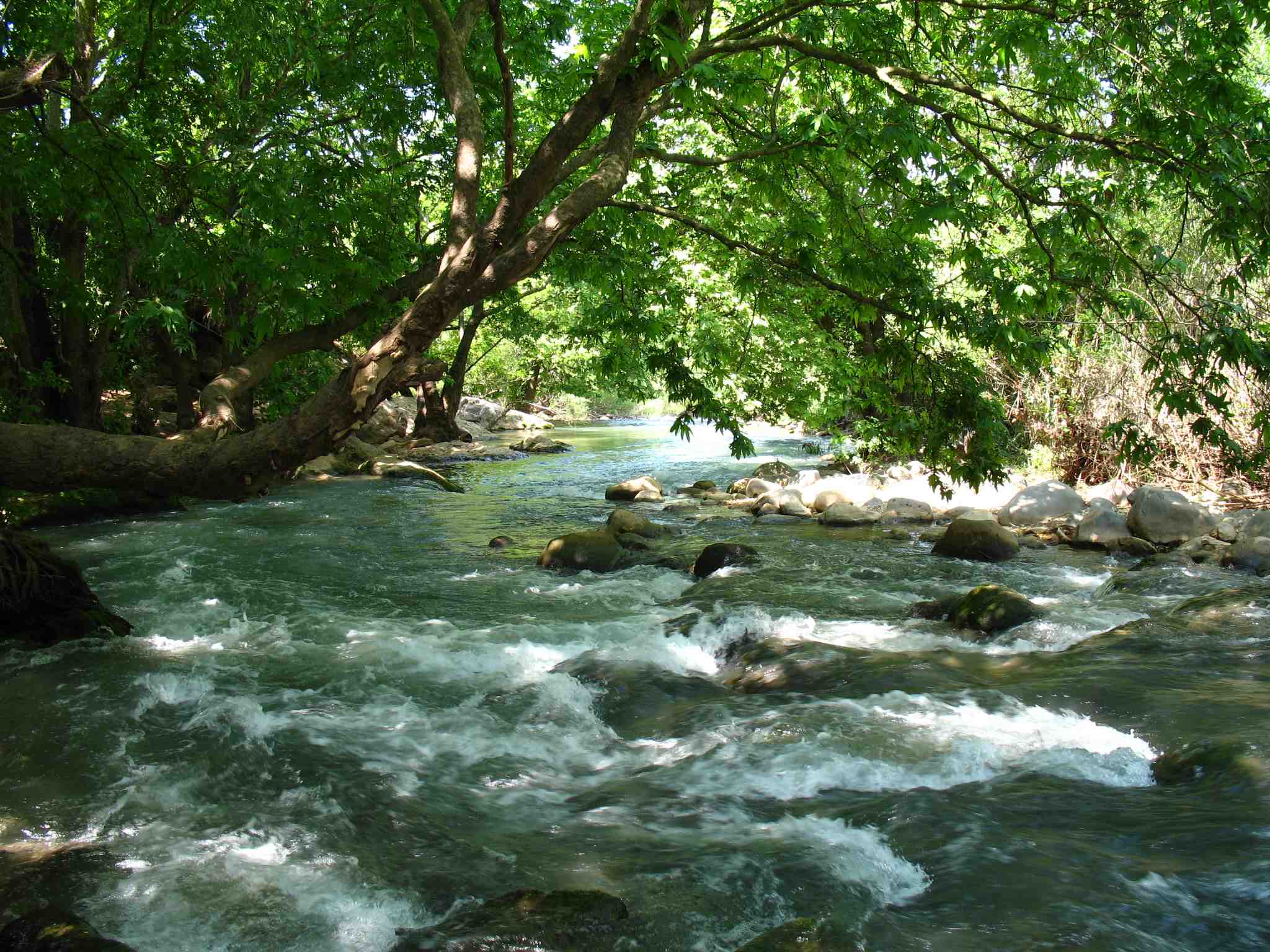 Hasbani River.