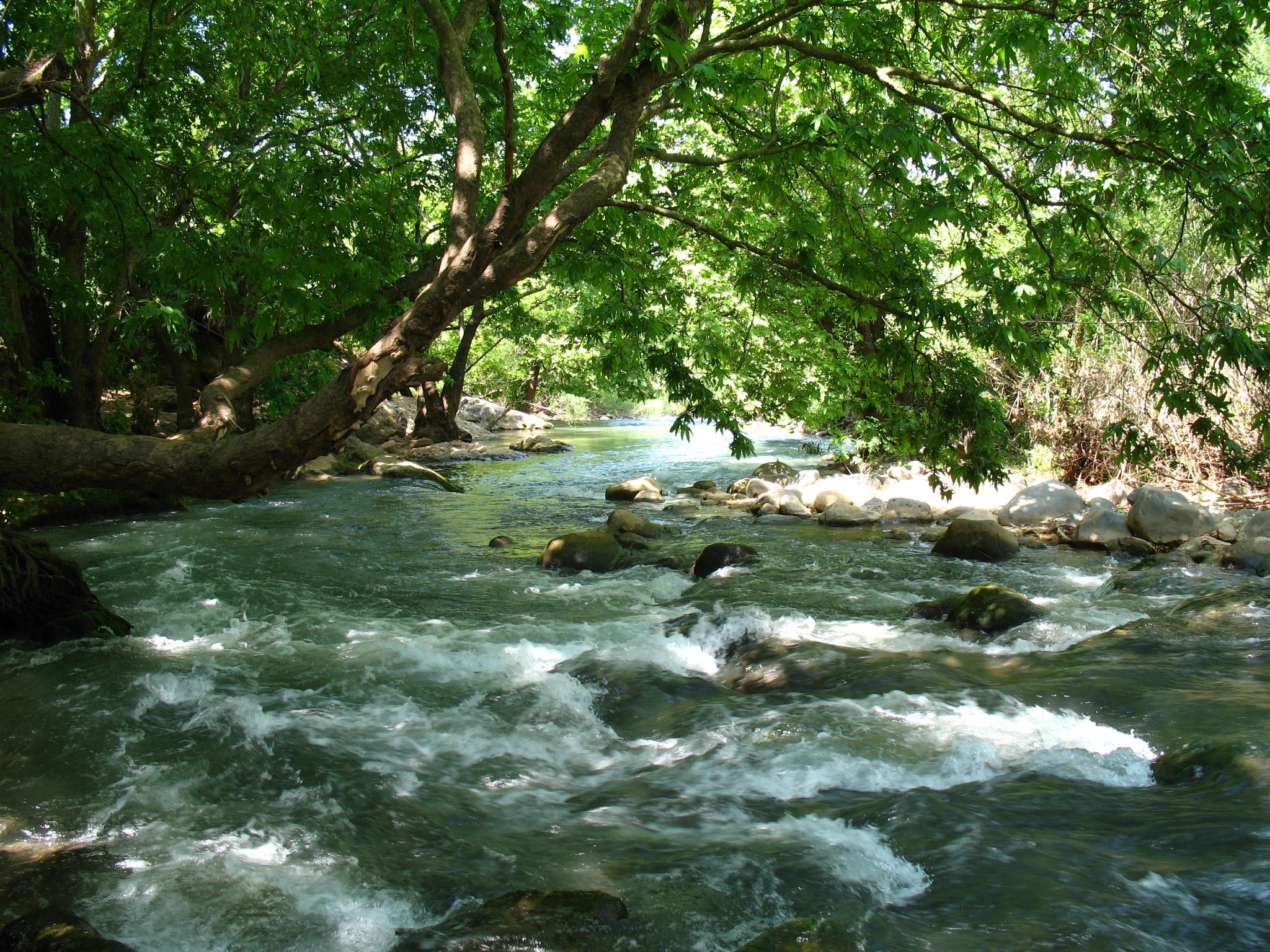 نهر الحاصباني. نهر الحاصباني.