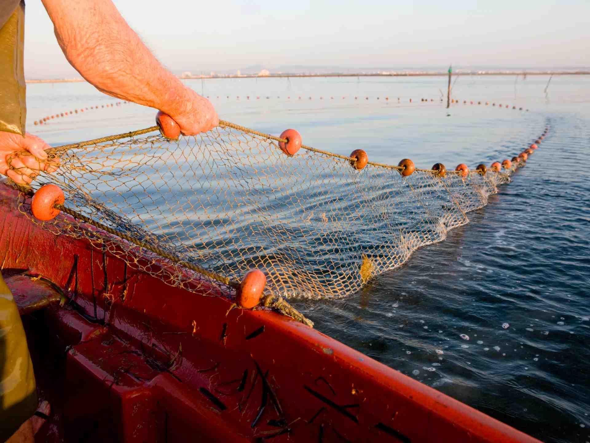 Casting the net far out into the sea