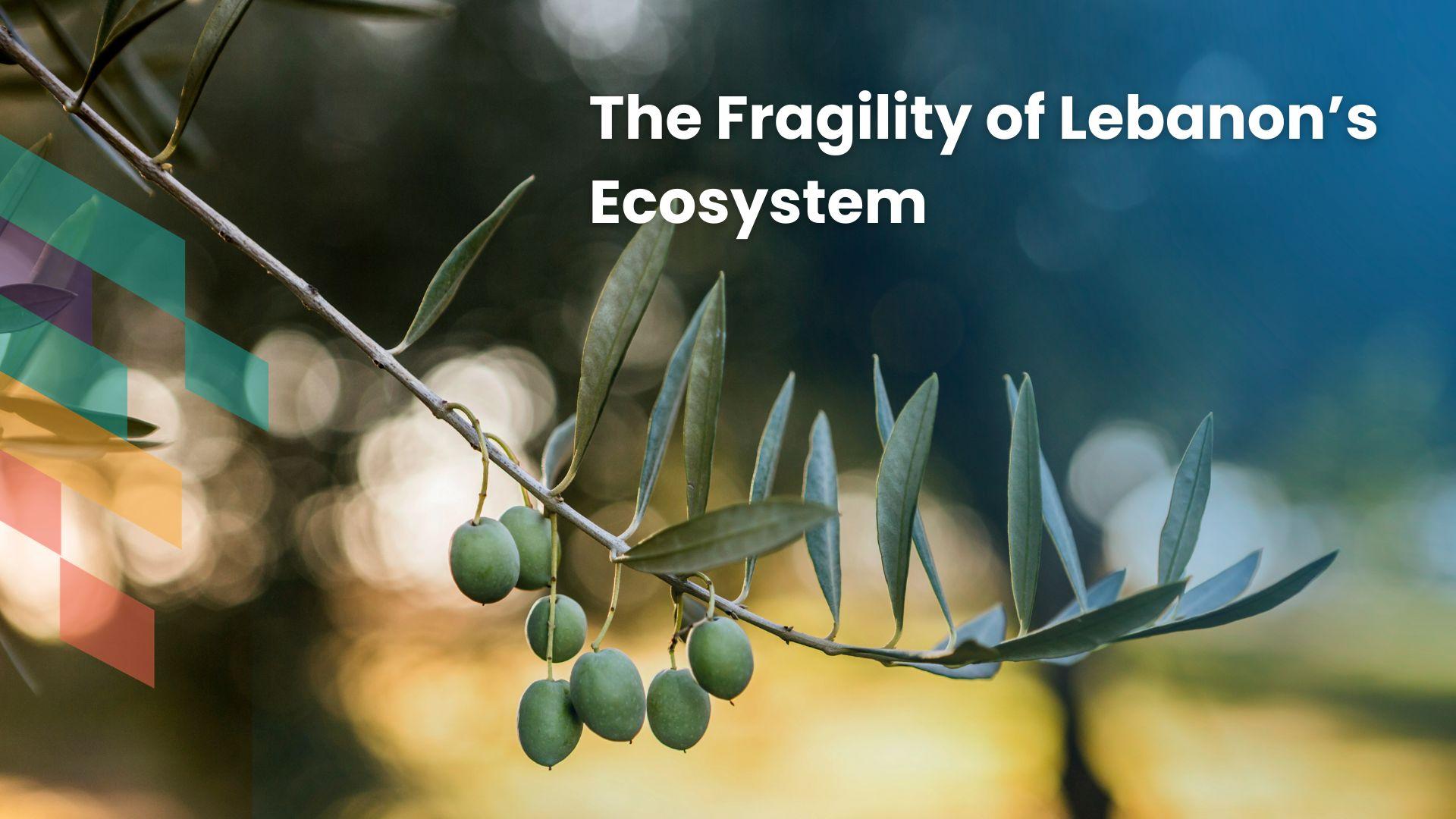 /studio/programs/69e8b5e63ac211857e0e9591