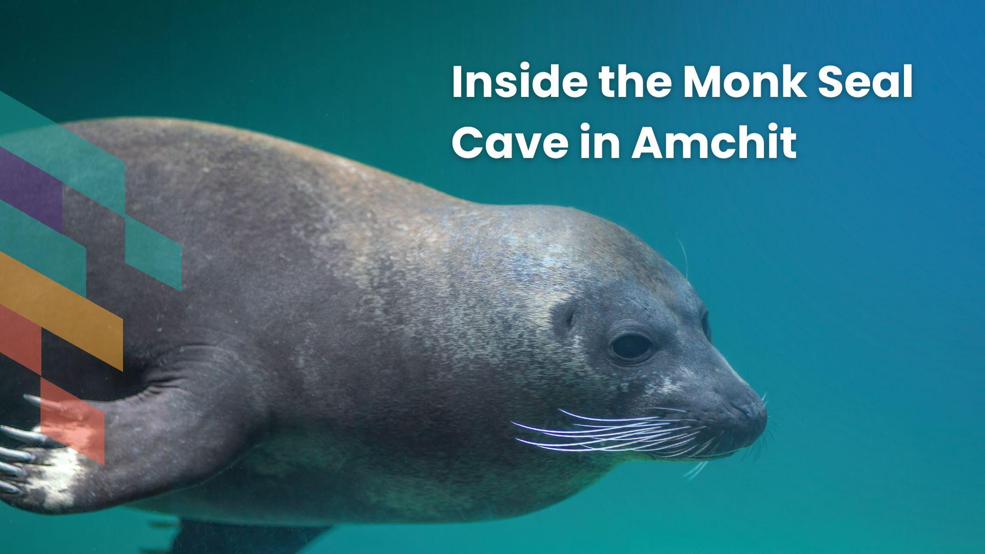 /studio/programs/69b448b16b5d92c96c0149e7