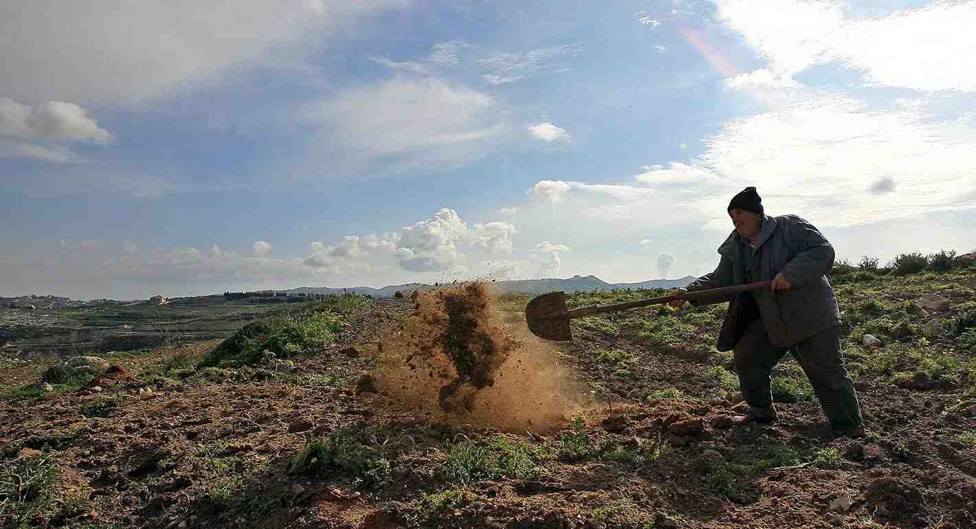 Lebanese farmer working in his land.