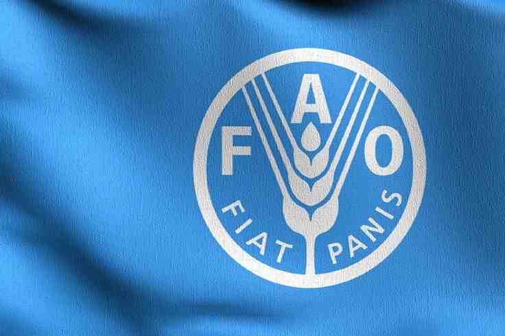Logo of the FAO (Food and Agriculture Organization)