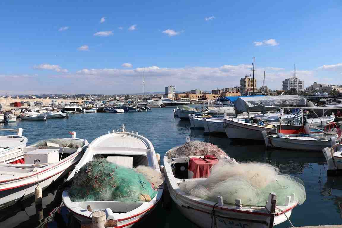 The project also encourages sustainable fishing practices, including the use of longlines. (Credit: Raseef 22)