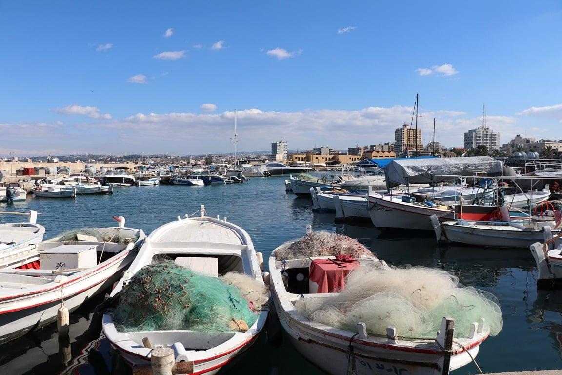 The project also encourages sustainable fishing practices, including the use of longlines. (Credit: Raseef 22) The project also encourages sustainable fishing practices, including the use of longlines. (Credit: Raseef 22)