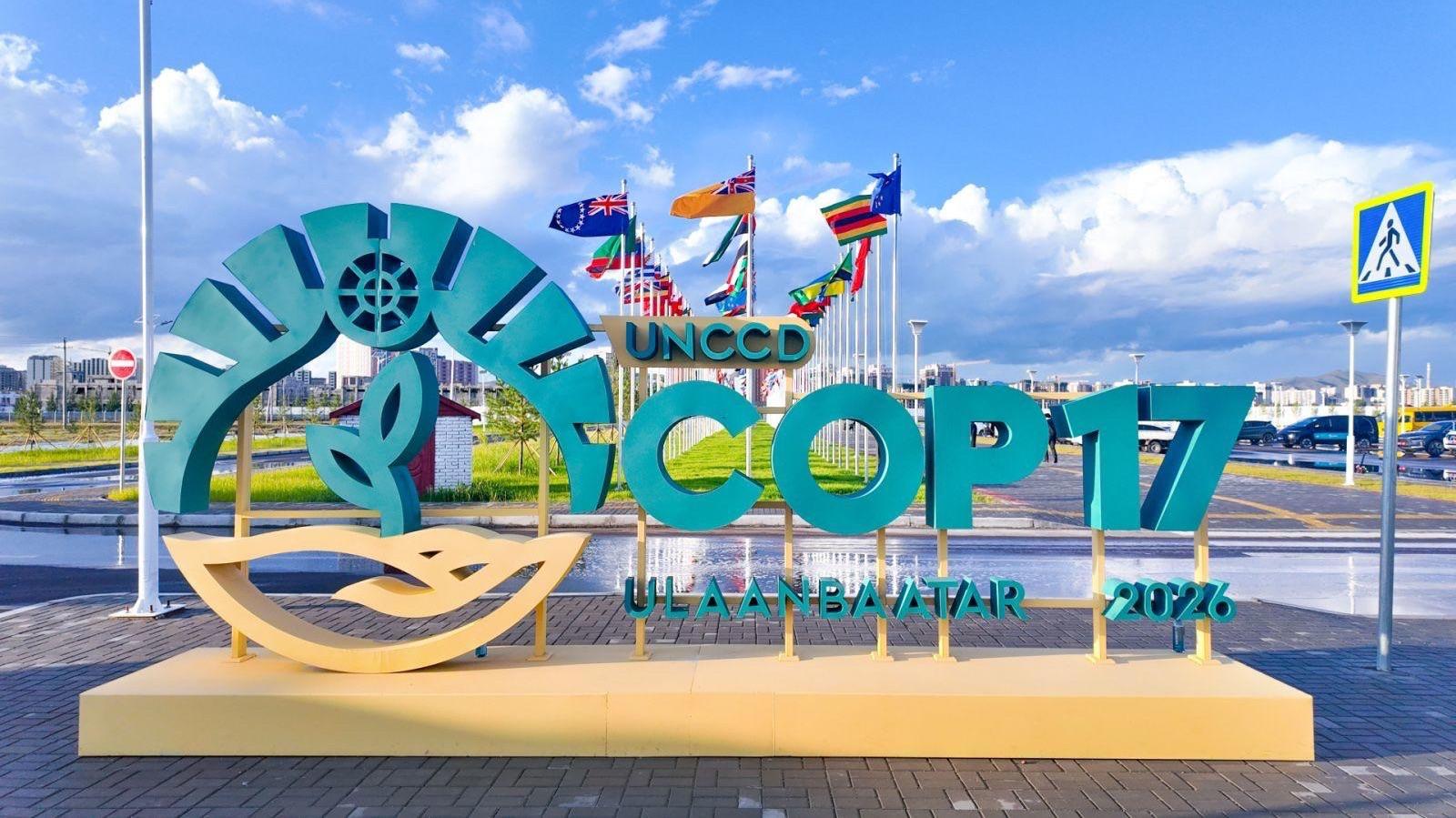 COP17 marks the first major global assessment of progress under the biodiversity framework. COP17 marks the first major global assessment of progress under the biodiversity framework.